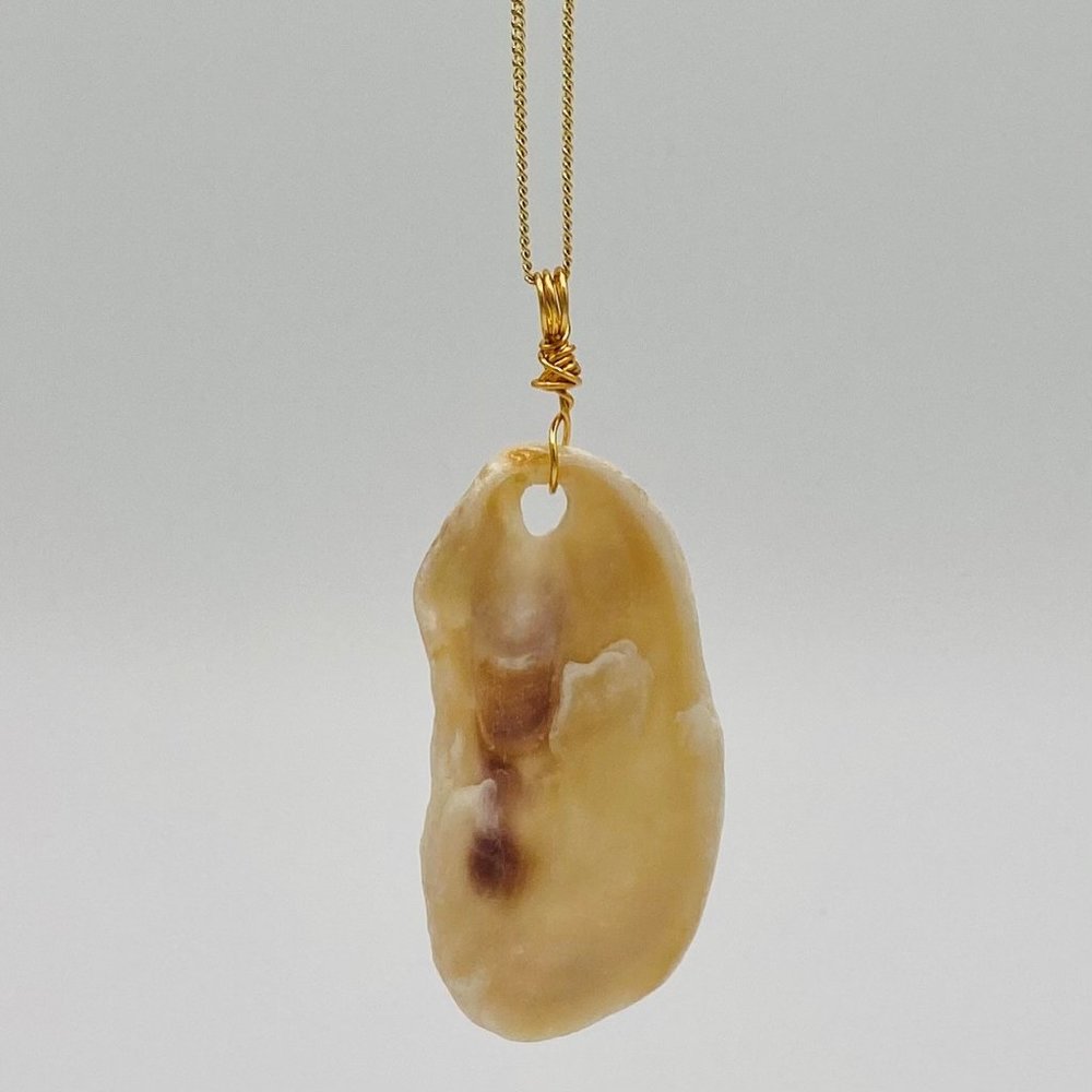 Shell Pendant on 24" Gold Chain Necklace; G24-15